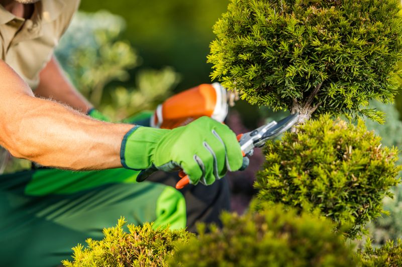 Local Butterfly Bush Pruning pros at work
