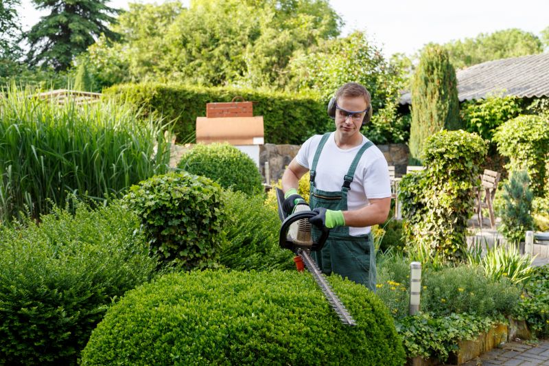 Butterfly Bush Pruning