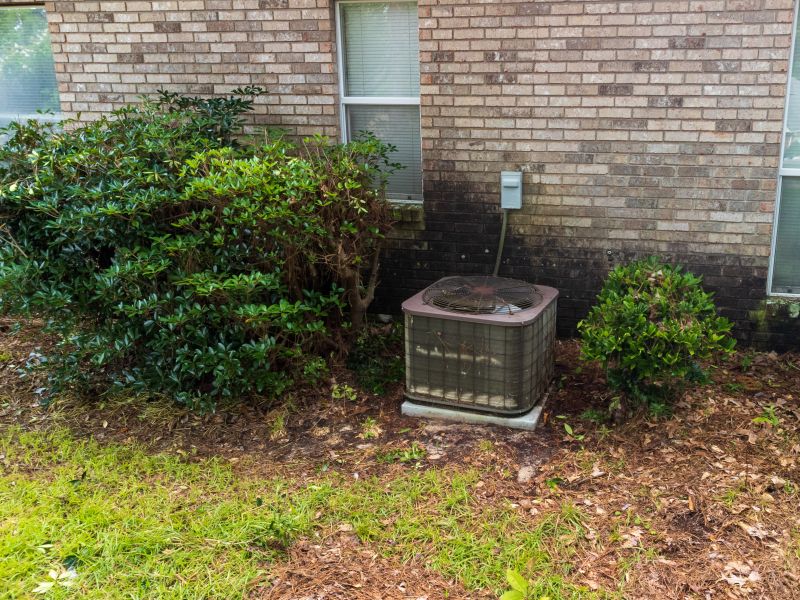 Bush Relocation in Aiken, SC