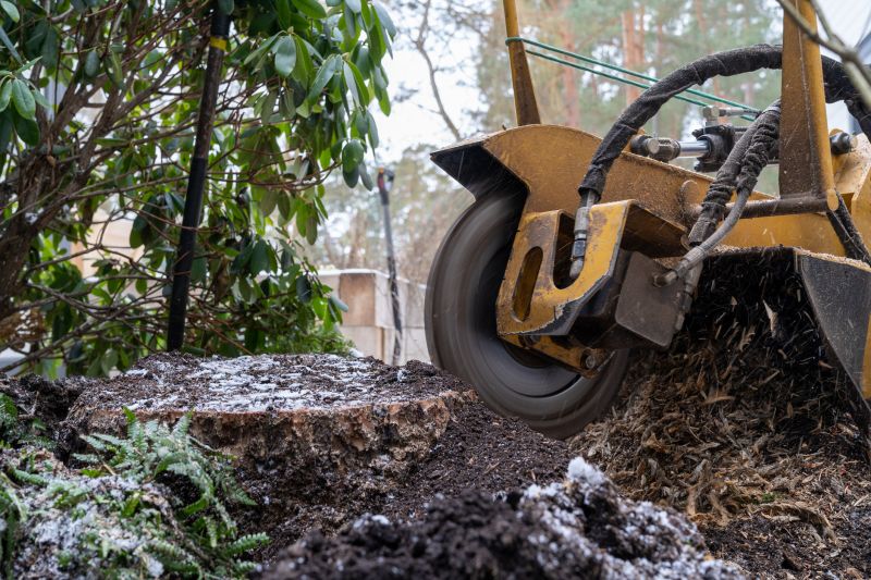 Bush Stump Grinding in Calvert County, MD