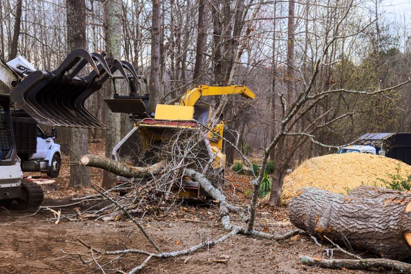 Cherry Tree Removal in Allentown, PA