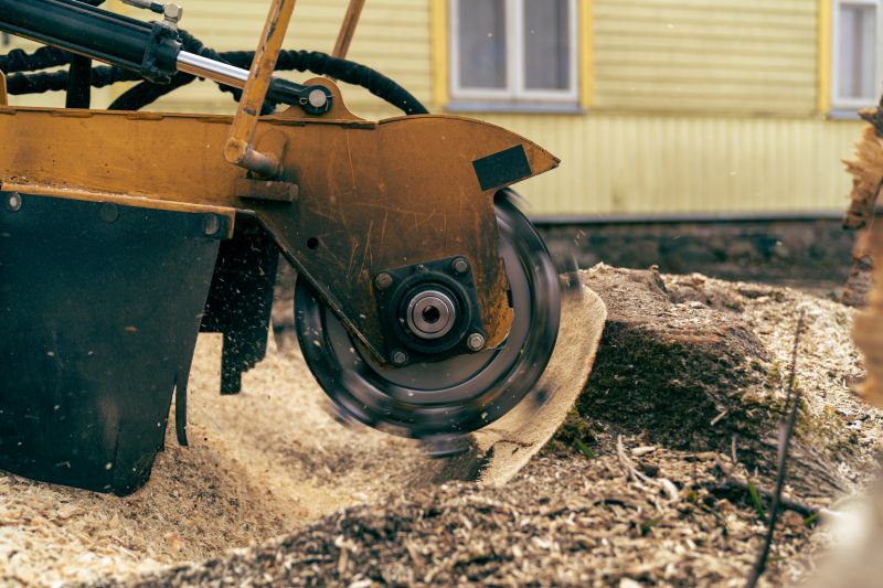 Commercial Stump Grinding in Doylestown, PA