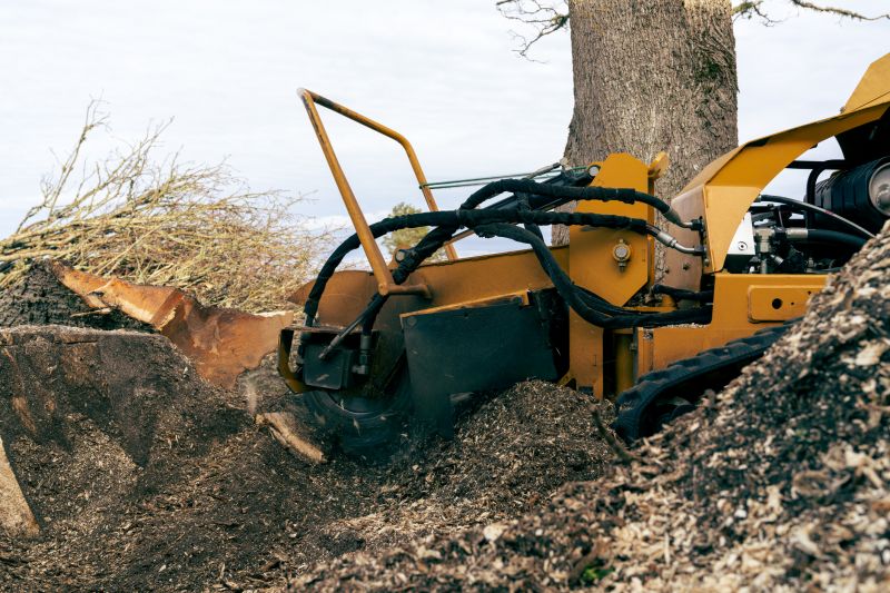 Commercial Stump Grinding in Pottstown, PA