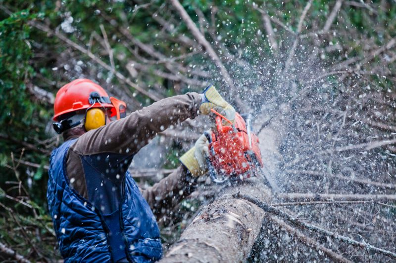 Commercial Tree Trimming in Doylestown, PA
