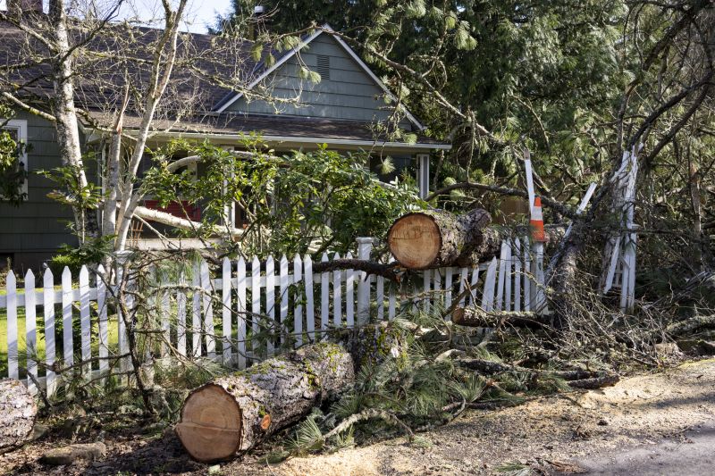 Dead Tree Removal in Pottstown, PA