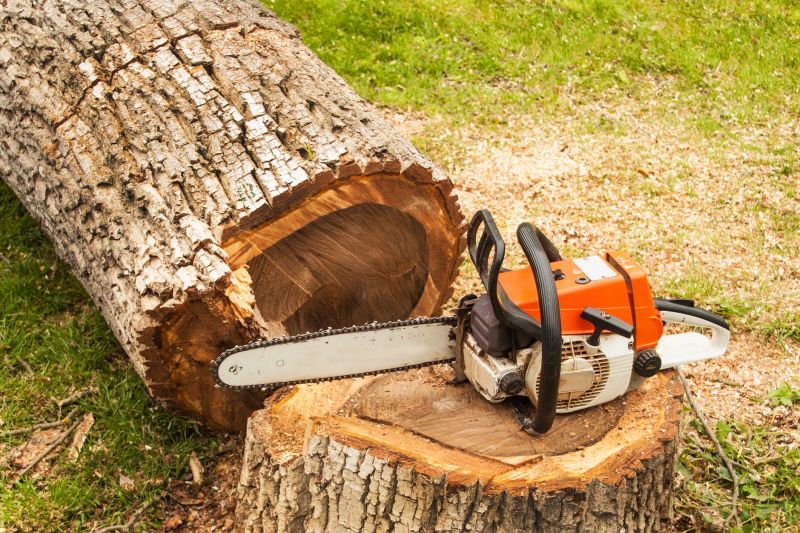 Deadwood Removal in Doylestown, PA