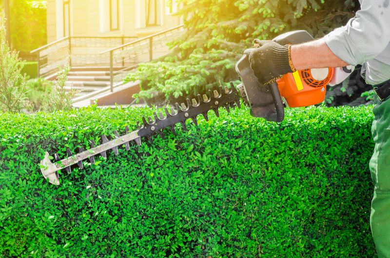 Evergreen Hedge Trimming in Rockwall, TX