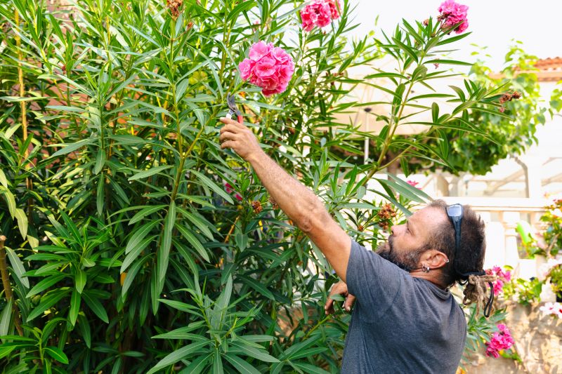 Butterfly Bush Pruning detail