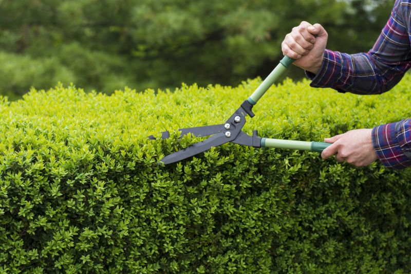 Hedge Pruning