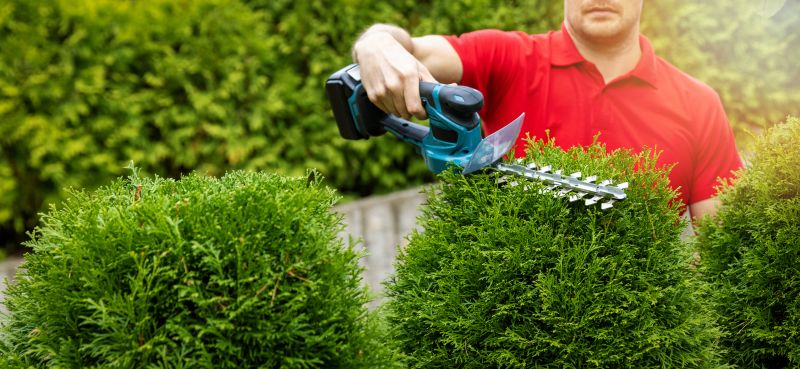 Hedge Shaping Service in Ventura County, CA