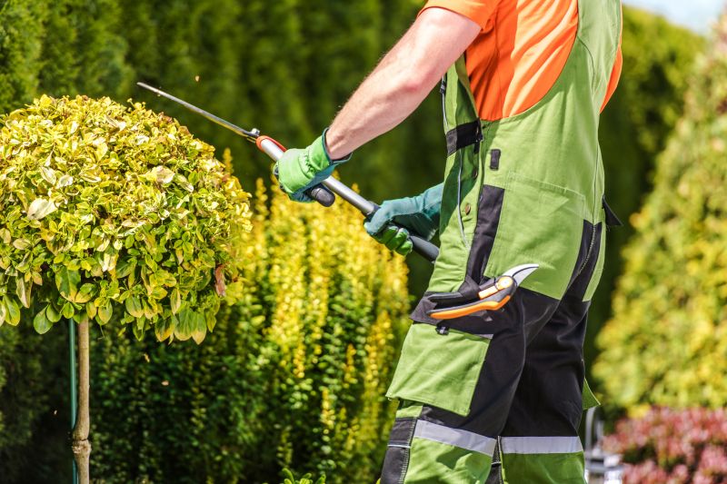 Hedge Shaping Service in Ventura County, CA