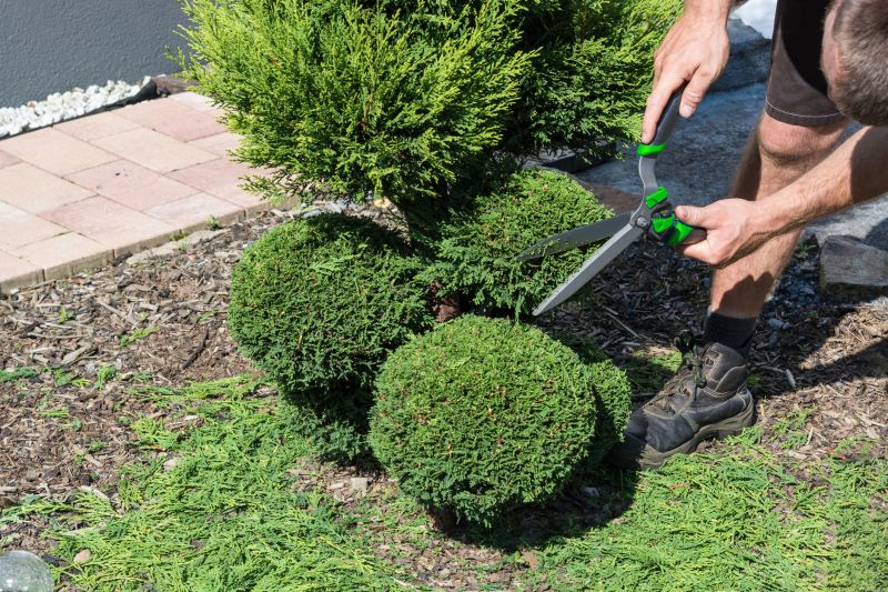 Landscape Pruning Service in Aiken, SC