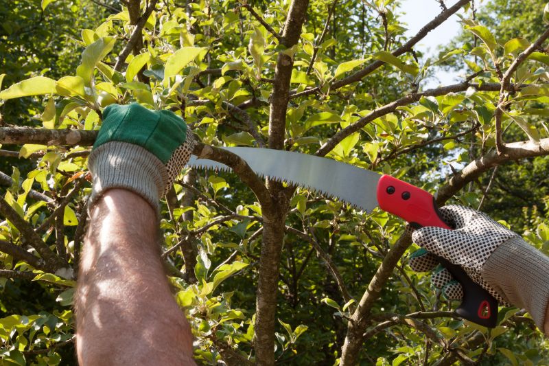 Peach Tree Pruning in Doylestown, PA