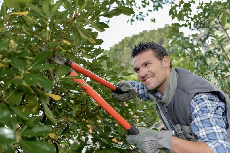 Shrub Trimming in Rockwall, TX