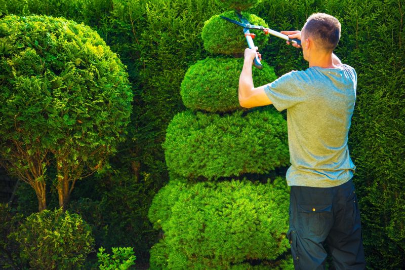 Shrub Trimming in Rockwall, TX