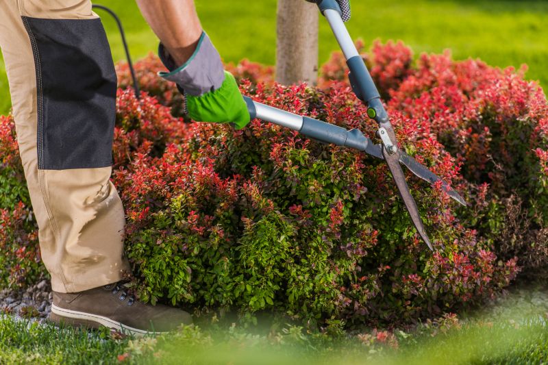 Shrub Trimming in Ventura County, CA