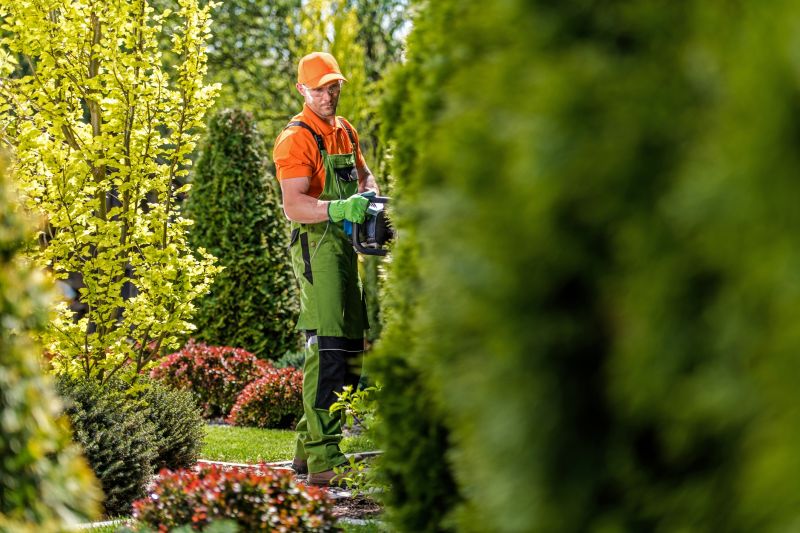 Shrub Trimming in Aiken, SC