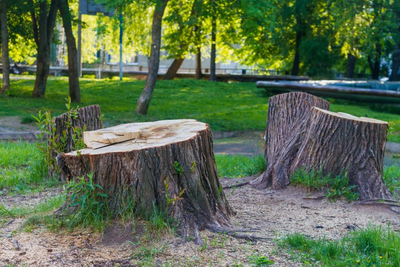 Stump Cutting in Waldorf, MD
