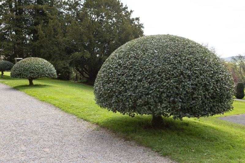 Topiary Shaping in Rockwall, TX
