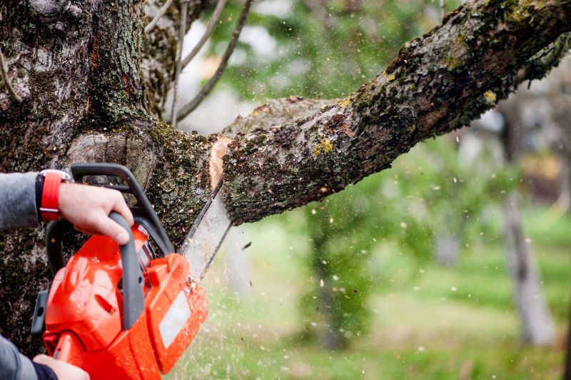 Tree Limbs Removal in Pottstown, PA