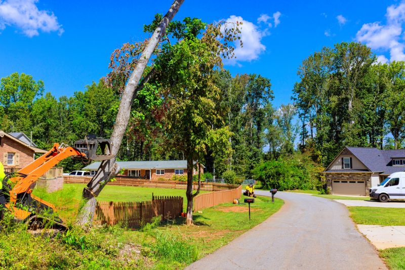 Tree Removal Service in Pottstown, PA