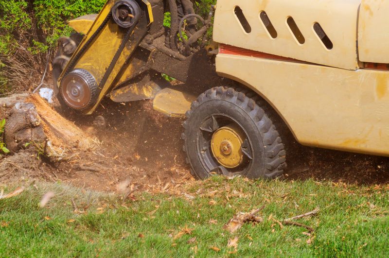 Tree Root Grinding in Waldorf, MD