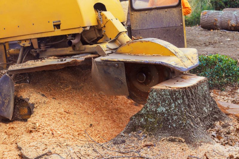 Tree Stump Removal in Calvert County, MD